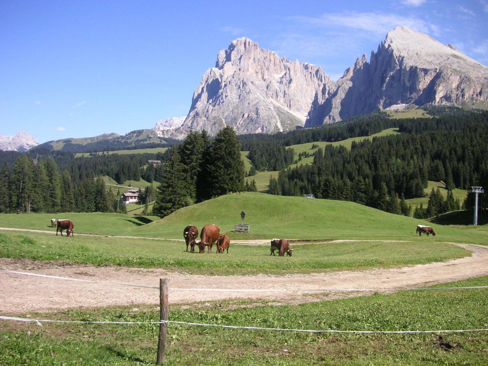 Hotel Flora Selva di Val Gardena Extérieur photo